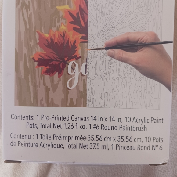 Paint By Number Set - Picture 4 of 5